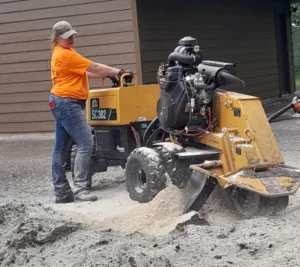 service tree stump grinding work